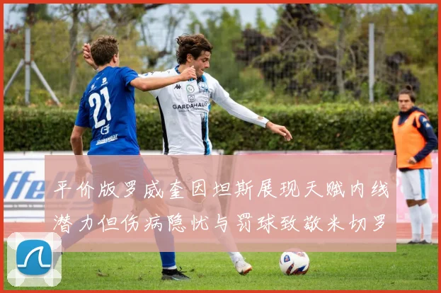 平价版罗威奎因坦斯展现天赋内线潜力但伤病隐忧与罚球致敬米切罗